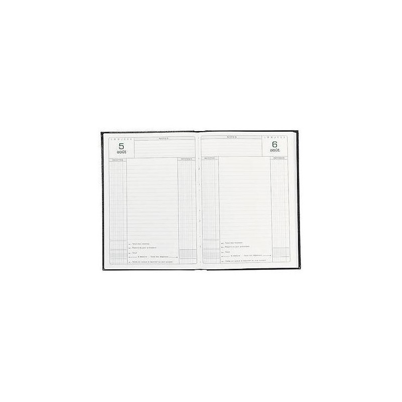 Agenda de caisse - Perpetuel - 1 jour parge - 15*21cm - Exacompta Agenda de caisse - Perpetuel - 1 jour parge - 15*21cm - Exacompta