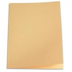 250 Sous-chemises - 60g - 22x31 - Crème  - 5 ETOILES