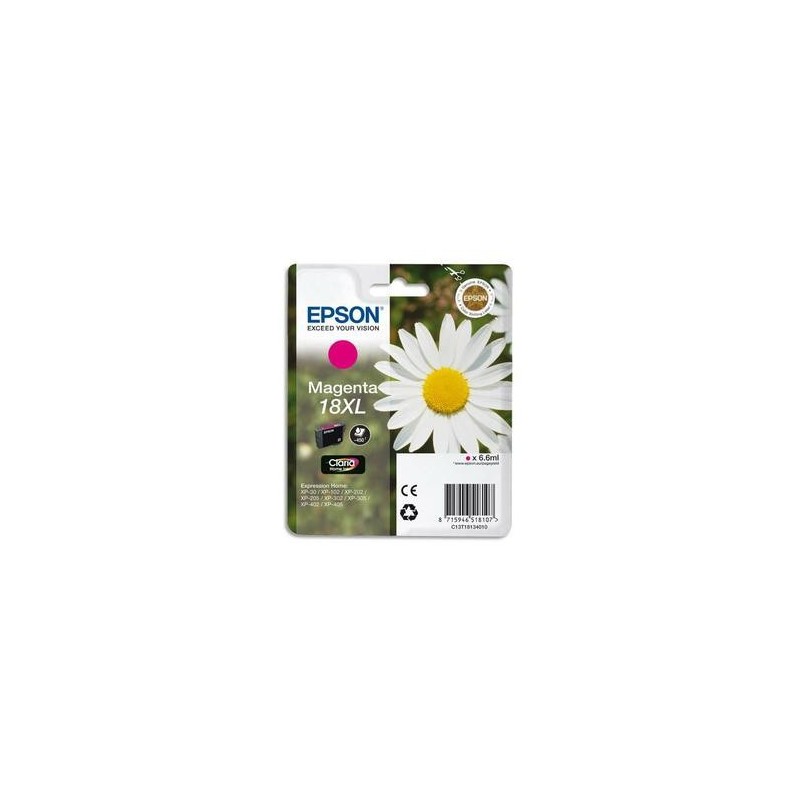 EPS CART JET ENCRE MAG XL C13T18134010
