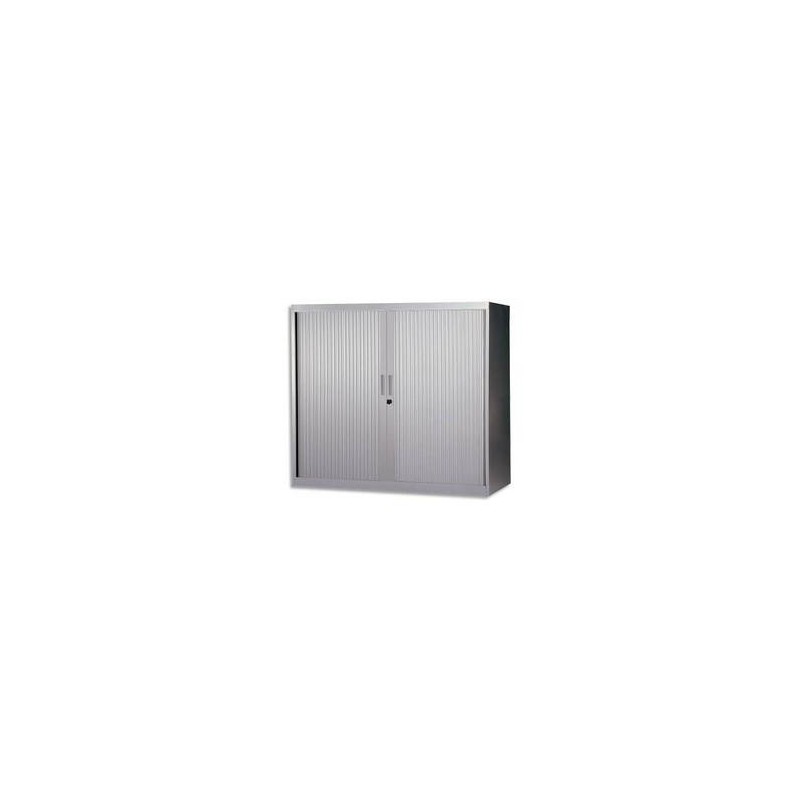 MTI ARM RID MONO H105CM SIL AM1210R-SL