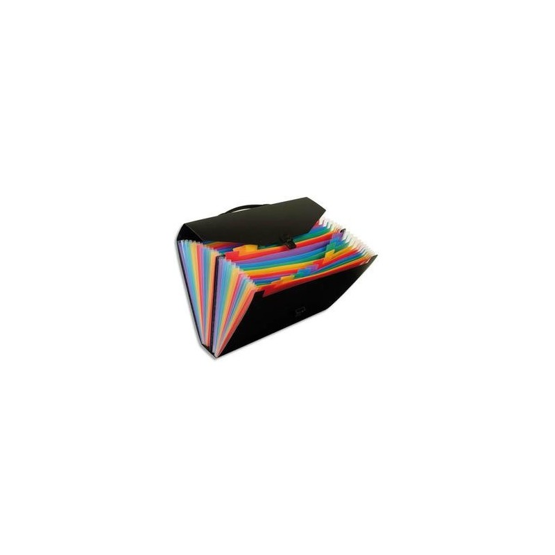 Valise/Trieur - 24 comp - RAINBOW - PP - Noir - VIQUEL Valise/Trieur - 24 comp - RAINBOW - PP - Noir - VIQUEL