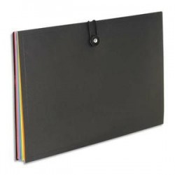 Trieur - 8 comp - RAINBOW - PP - Noir - VIQUEL