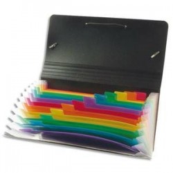 Trieur/Format Chéquier - RAINBOW - 12 Compart - Noir - VIQUEL