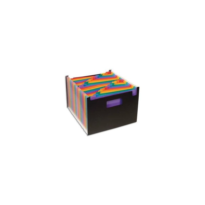 Trieur - SEAT CASE - RAINBOW - 24 Comp - PP Noir - VIQUEL Trieur - SEAT CASE - RAINBOW - 24 Comp - PP Noir - VIQUEL