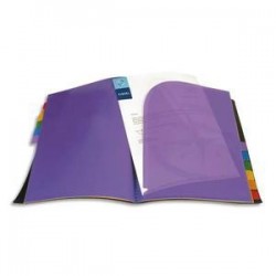 Protège/Doc - A4 - 12 Onglets - RAINBOWCLASS - VIQUEL