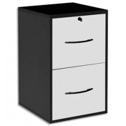 MT INTERNATIONAL Classeur mélaminé 2 tiroirs pour dossier suspendu nr, façade tiroir blanc 42x69x44 cm