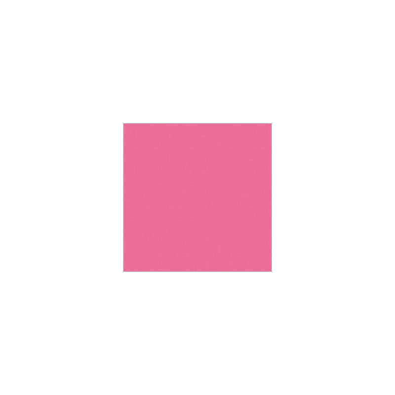 CLAIREFONTAINE Ramette de 500 feuilles papier couleur TROPHEE 80 grammes format A4 rose fuchsia 1771 CLAIREFONTAINE Ramette de 500 feuilles papier couleur TROPHEE 80 grammes format A4 rose fuchsia 1771