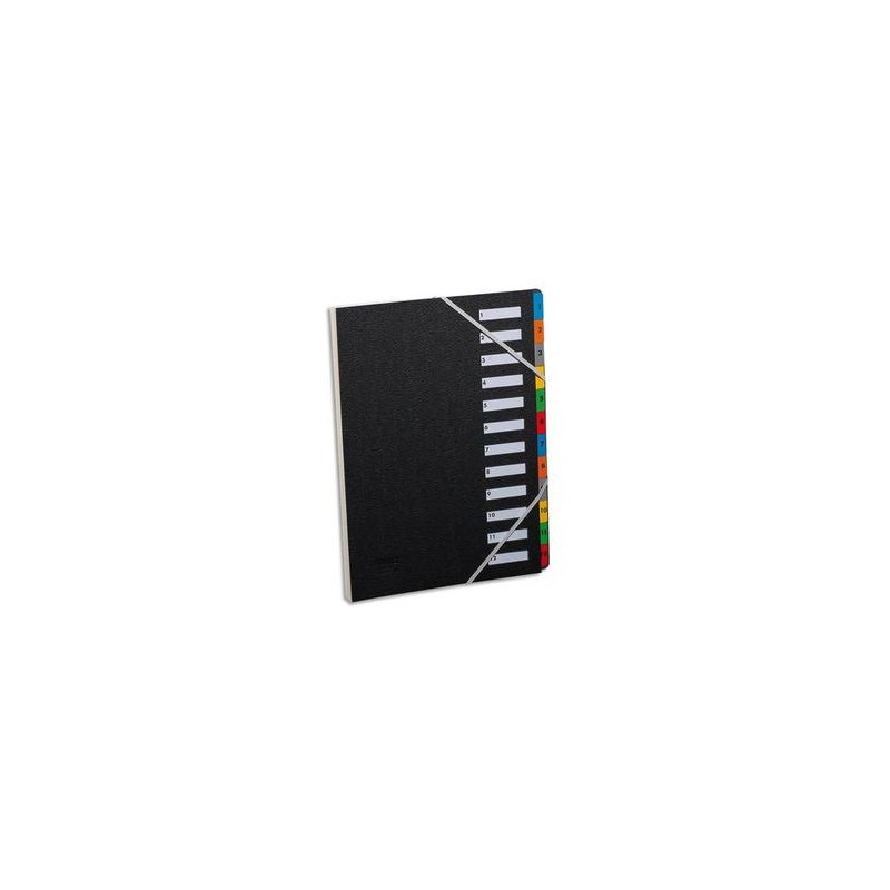 EXTENDOS Trieur numérique à élastique en celloderme. 12 compartiments. Coloris noir, touches assorties. EXTENDOS Trieur numérique à élastique en celloderme. 12 compartiments. Coloris noir, touches assorties.