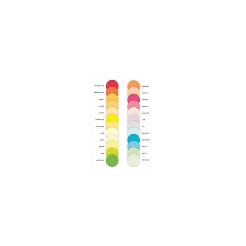 PAPYRUS Ramette 125 feuilles x 4 teintes papier couleur flash ADAGIO assortis fluo A4 80g PAPYRUS Ramette 125 feuilles x 4 teintes papier couleur flash ADAGIO assortis fluo A4 80g