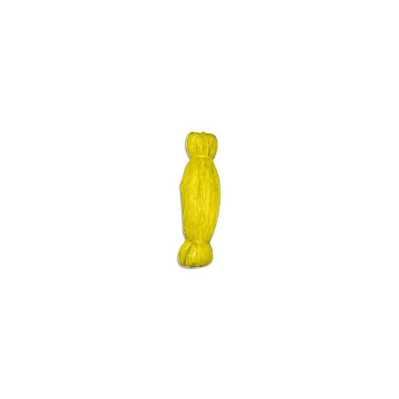 PW INTERNATIONAL Bobine de 50g de raphia végétal coloris Jaune, longueur non standardisée de 1 à 1,20m PW INTERNATIONAL Bobine de 50g de raphia végétal coloris Jaune, longueur non standardisée de 1 à 1,20m