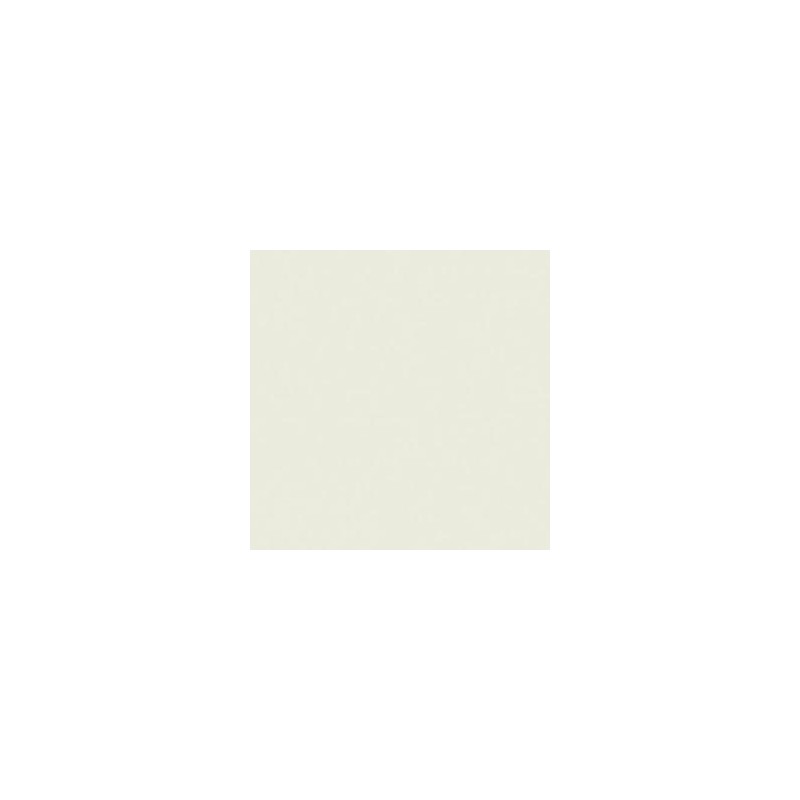 CLAIREFONTAINE Ramette de 500 feuilles papier couleur TROPHEE 80 grammes format A3 gris perle 1251 CLAIREFONTAINE Ramette de 500 feuilles papier couleur TROPHEE 80 grammes format A3 gris perle 1251