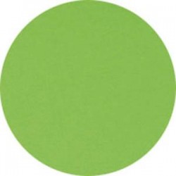 CLAIREFONTAINE Ramette de 250 feuilles papier couleur TROPHEE 160 grammes format A4 vert menthe 1025