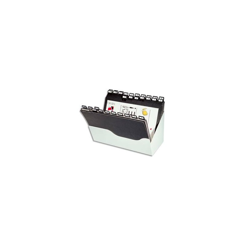 VALREX Trieur de bureau VALBOX . Pour classement vertical. Format A4. 31 intercalaires. VALREX Trieur de bureau VALBOX . Pour classement vertical. Format A4. 31 intercalaires.