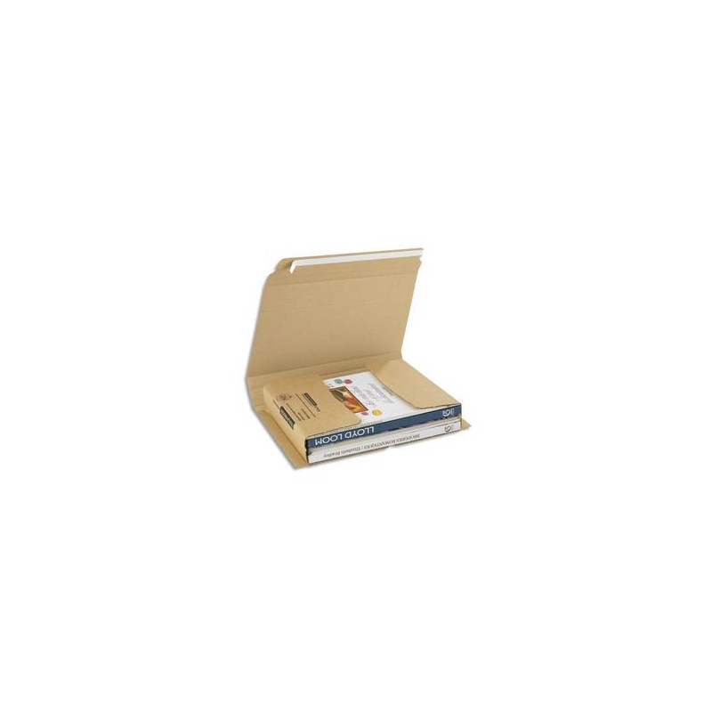 EMB ETUI POSTAL STD H1CM 33X25 BR RBK44 EMB ETUI POSTAL STD H1CM 33X25 BR RBK44