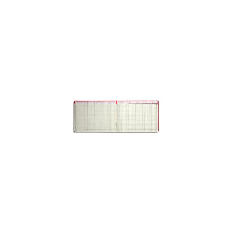 LE DAUPHIN Piqûre tracé comptable numéroté 27 x 37,5 cm 80 pages 15 colonnes avec tête paresseuse LE DAUPHIN Piqûre tracé comptable numéroté 27 x 37,5 cm 80 pages 15 colonnes avec tête paresseuse