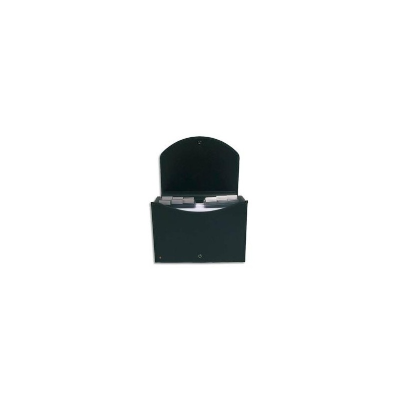 EXACOMPTA Trieur valisette noir en PP EXACASE 13 compartiments.Dos extensible,onglets personnalisables EXACOMPTA Trieur valisette noir en PP EXACASE 13 compartiments.Dos extensible,onglets personnalisables