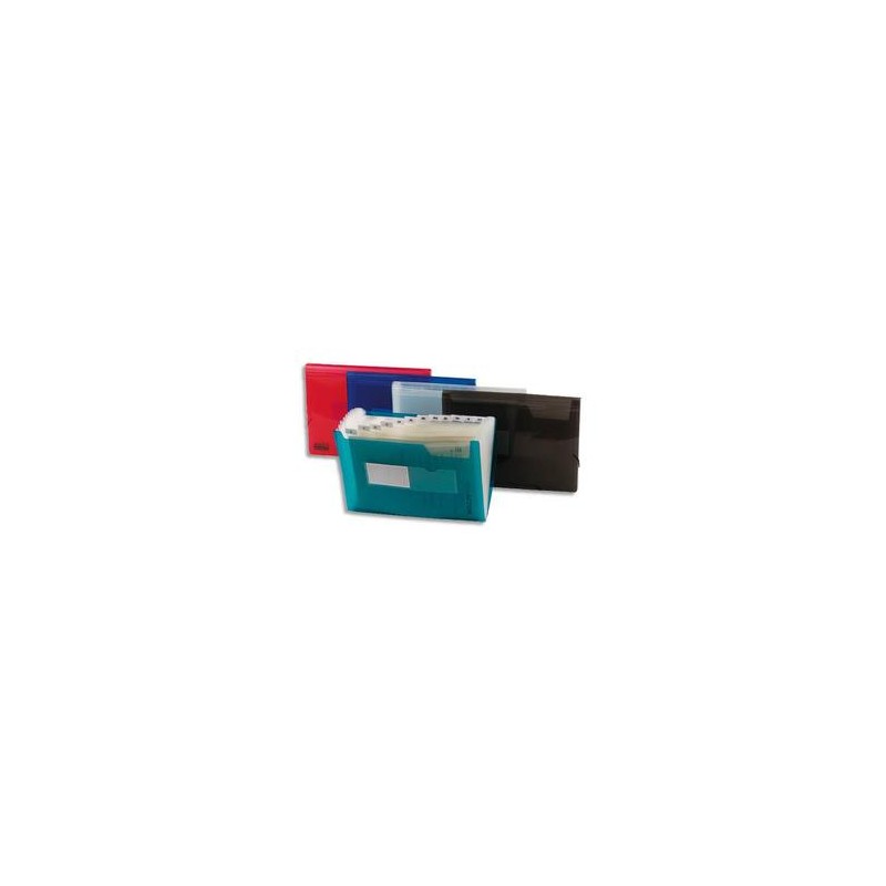 5ET TRIEUR PVC 13 CMPTS ASSORTIS 32119 5ET TRIEUR PVC 13 CMPTS ASSORTIS 32119