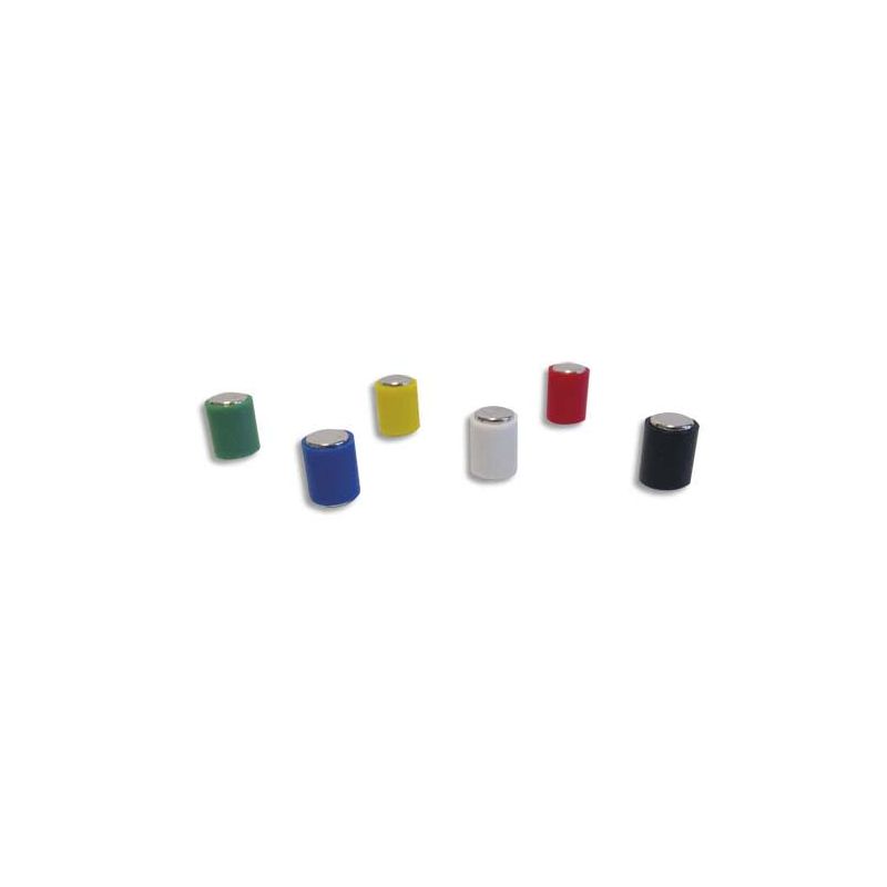 WONDAY Lot de 12 aimants cylindrique