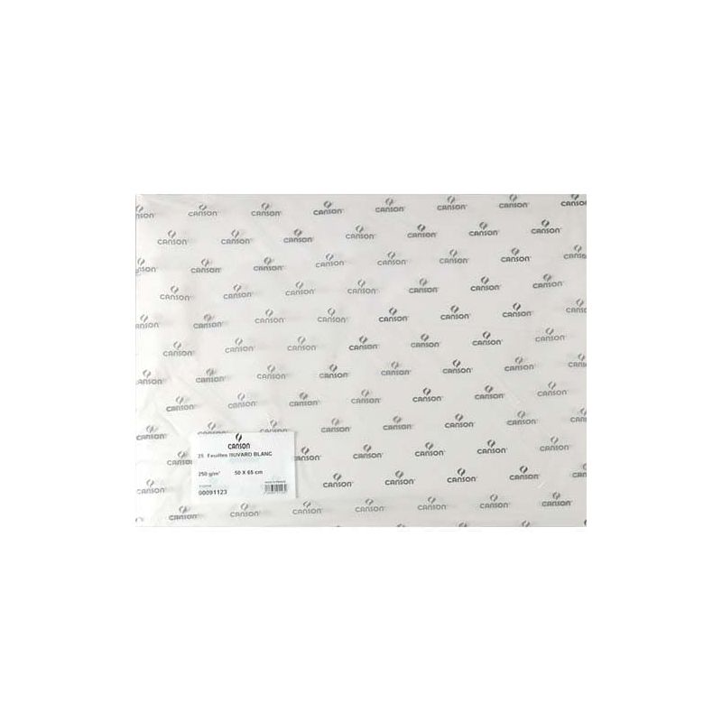 CANSON Feuille de papier buvard 250g 50x65cm Blanc CANSON Feuille de papier buvard 250g 50x65cm Blanc