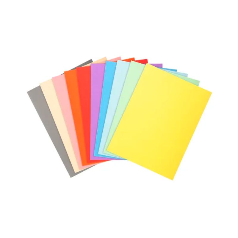 EXACOMPTA Paquet de 50 chemises FOREVER en carte 170g. Coloris assortis EXACOMPTA Paquet de 50 chemises FOREVER en carte 170g. Coloris assortis