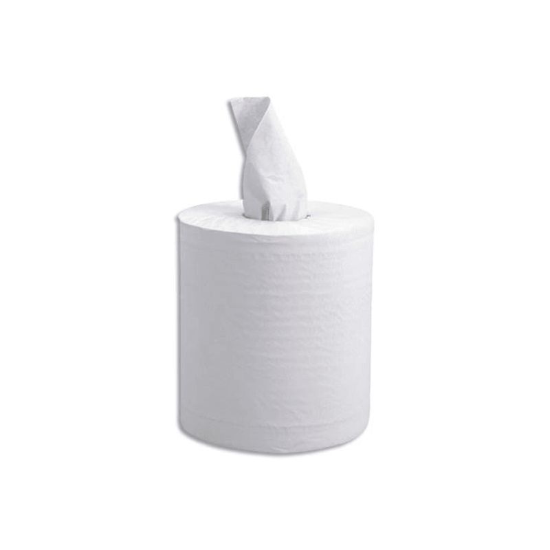 Colis de 6 Bobines d'essuyage Maxi prédécoupée 2 plis Blanche 450 feuilles - Format 35 x 19,5 cm Colis de 6 Bobines d'essuyage Maxi prédécoupée 2 plis Blanche 450 feuilles - Format 35 x 19,5 cm