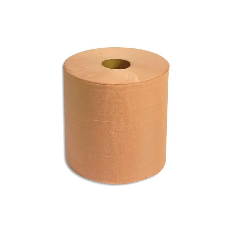 Lot de 2 Bobines d'essuyage 800 formats chamois 2 plis gaufrée - Format : 30 x 21 cm