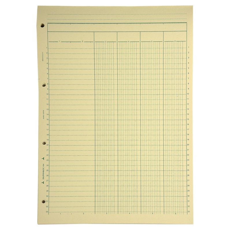 LE DAUPHIN Bloc à colonnes multiples 50 feuilles 29,7x21 cm 4 colonnes