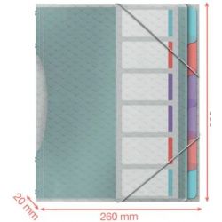 ESSELTE Trieur Colour Ice 6 compart,en polypropylène 5/10ème.Coloris poudré à motif brillant translucide