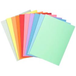 EXACOMPTA Paquet de 100 chemises SUPER 250 en carte 210 grammes coloris assortis