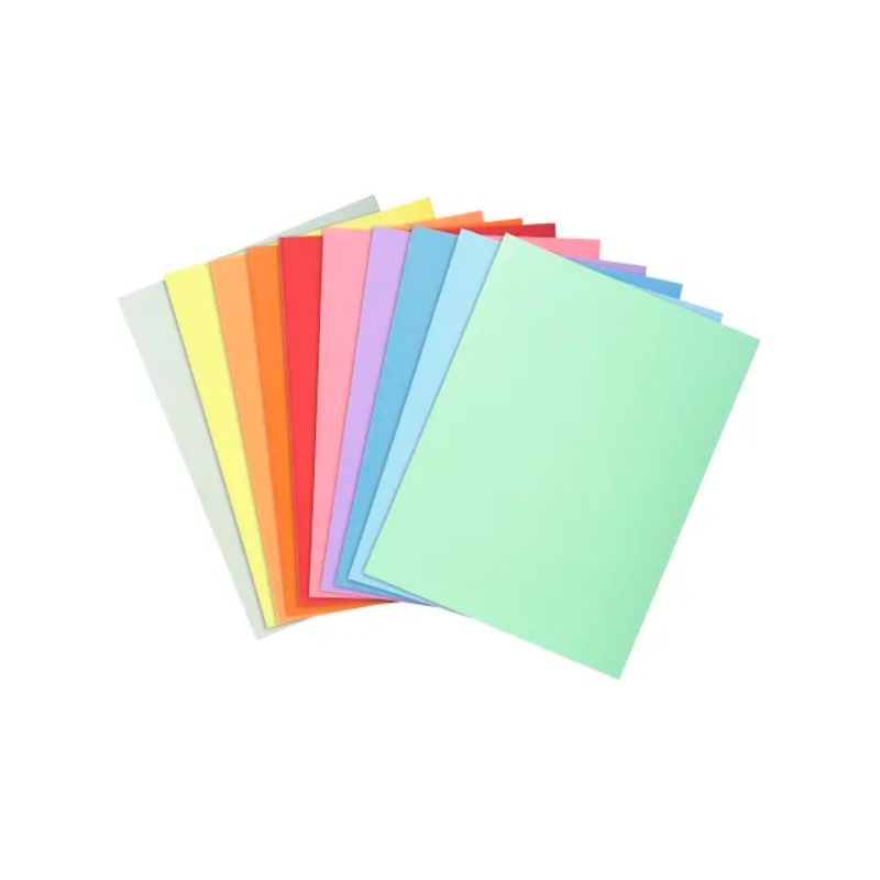 EXACOMPTA Paquet de 100 chemises SUPER 250 en carte 210 grammes coloris assortis EXACOMPTA Paquet de 100 chemises SUPER 250 en carte 210 grammes coloris assortis