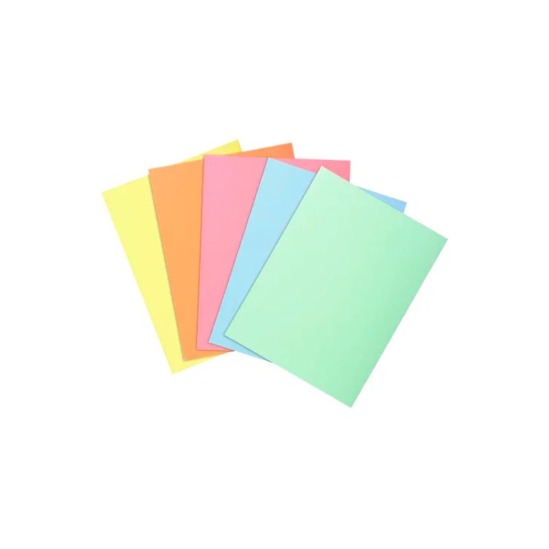 EXACOMPTA Paquet de 250 sous-chemises SUPER en carte 60g coloris assortis pastels EXACOMPTA Paquet de 250 sous-chemises SUPER en carte 60g coloris assortis pastels