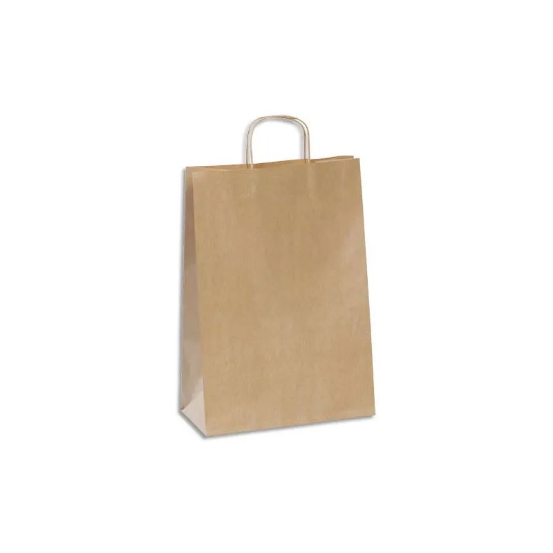 Paquet de 100 sacs kraft brun 100g à poignée torsadées, Ouverture 30 x Hauteur 40,2 x Soufflet 13 cm Paquet de 100 sacs kraft brun 100g à poignée torsadées, Ouverture 30 x Hauteur 40,2 x Soufflet 13 cm