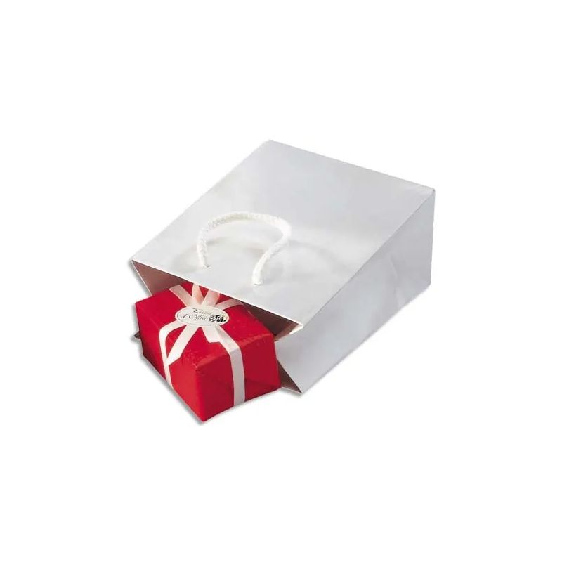 Paquet de 25 sacs pelliculés Blanc avec poignées cordelières assorties 19 x 27 x 10 cm Paquet de 25 sacs pelliculés Blanc avec poignées cordelières assorties 19 x 27 x 10 cm