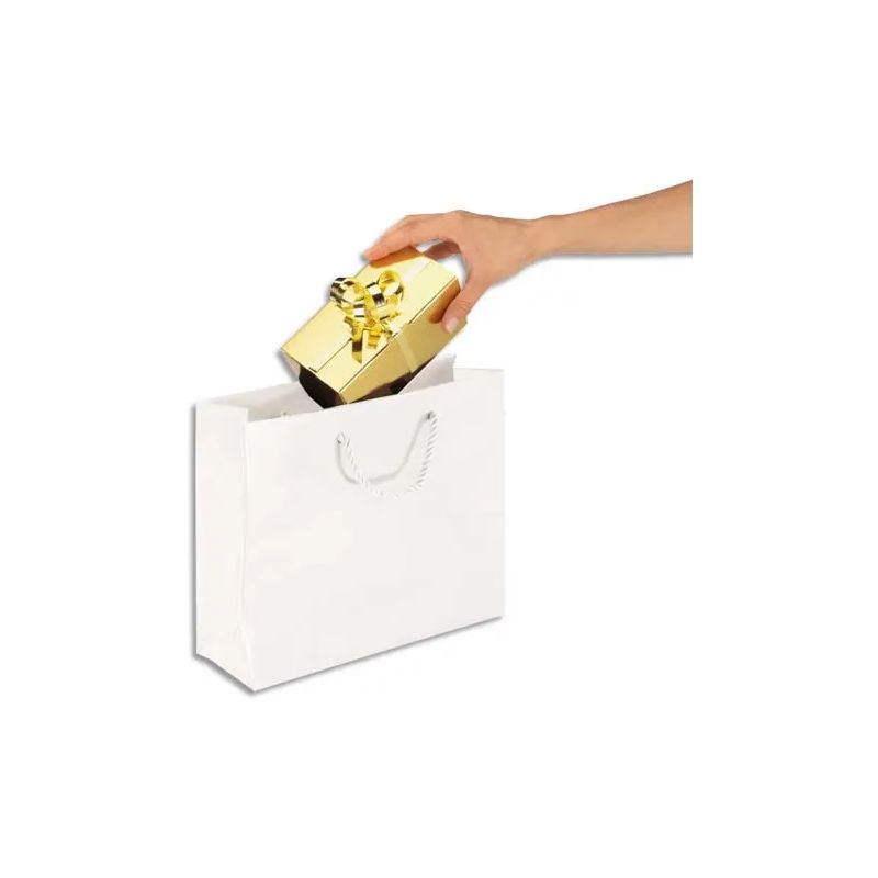 EMB P/25 SACS PELLI BLC 40X32X12CM PE40B EMB P/25 SACS PELLI BLC 40X32X12CM PE40B