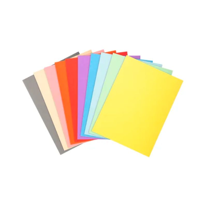 EXACOMPTA Paquet de 100 chemises FOREVER en carte recyclée 220g. Coloris assortis EXACOMPTA Paquet de 100 chemises FOREVER en carte recyclée 220g. Coloris assortis