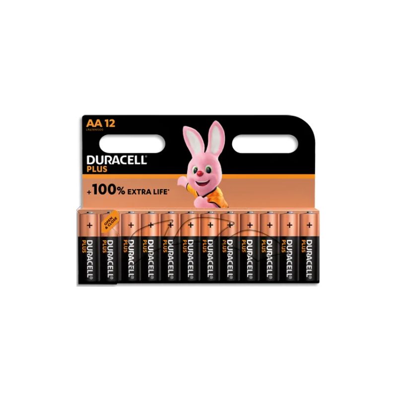 DURACELL Piles alcalines AA Plus 100%, 1,5V LR6 MN1500, lot de 12 piles DURACELL Piles alcalines AA Plus 100%, 1,5V LR6 MN1500, lot de 12 piles