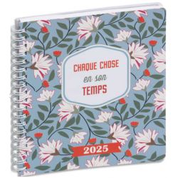 EXACOMPTA Agenda de bureau Lady 18S Dodo & Cath 15x17 cm spiralé Janvier à Décembre 2025 Temps