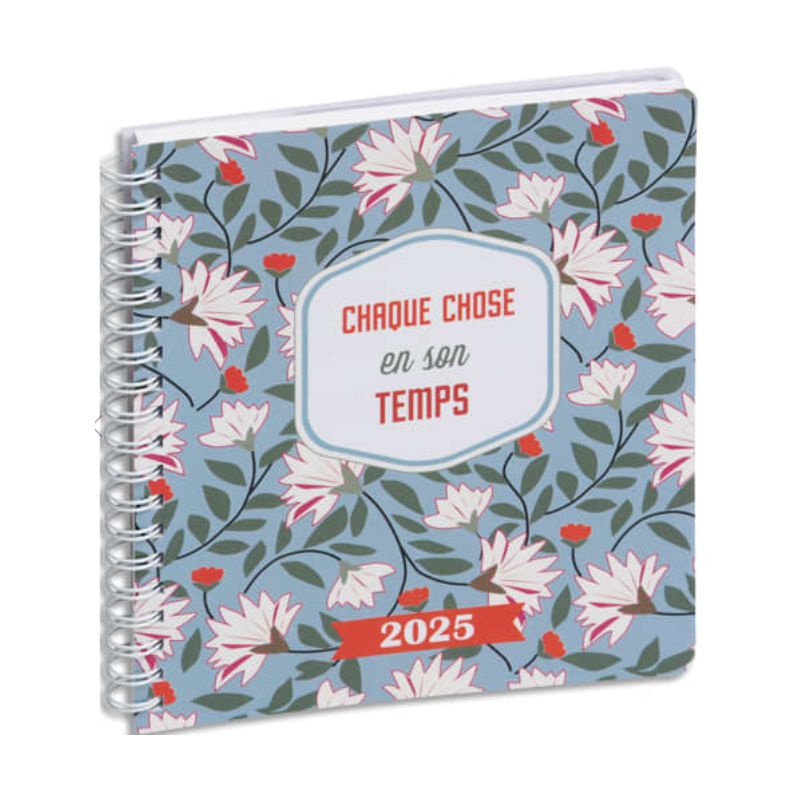 EXACOMPTA Agenda de bureau Lady 18S Dodo & Cath 15x17 cm spiralé Janvier à Décembre 2025 Temps EXACOMPTA Agenda de bureau Lady 18S Dodo & Cath 15x17 cm spiralé Janvier à Décembre 2025 Temps