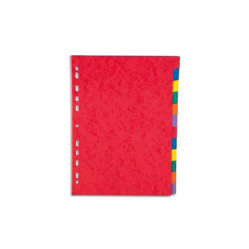 PERGAMY Jeu 8 intercalaires neutres 8 touches carte lustrée 225g. Format A4. Coloris assortis vif PERGAMY Jeu 8 intercalaires neutres 8 touches carte lustrée 225g. Format A4. Coloris assortis vif